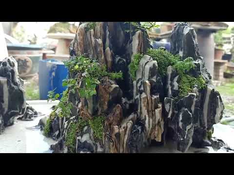 Hòn Non Bộ Nhỏ Để Bàn Thiết Kế Tại Hà Nội