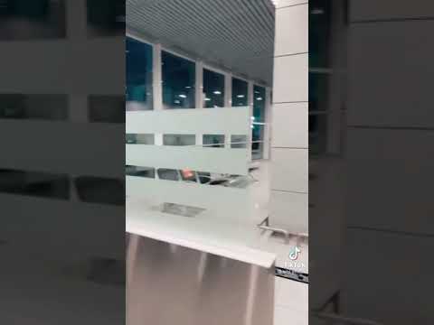 Antonio pican o cere pe Bibi in casatorie