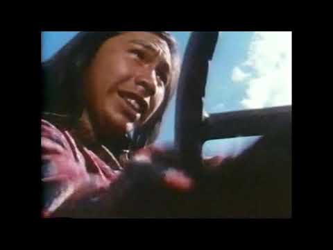 Beachcombers Partners Model A Abuse