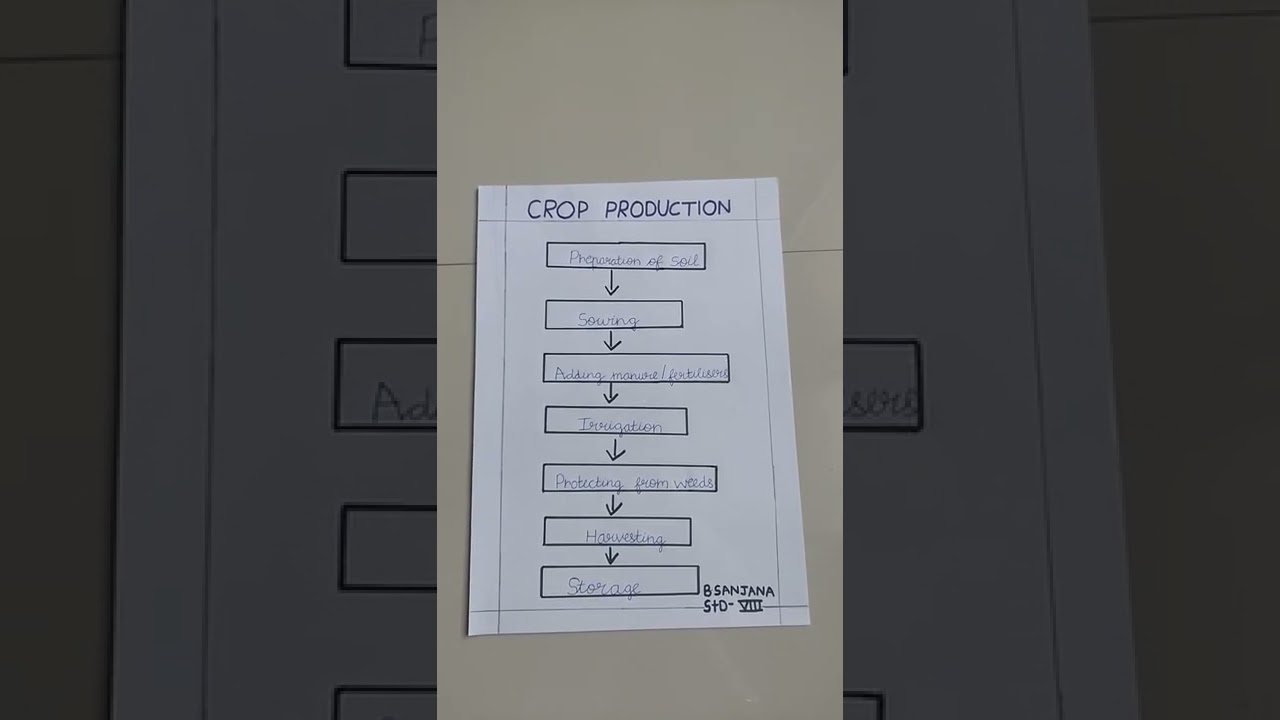 Crop Production Chart #ytshorts #science #cropproductionandmanagement