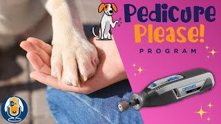 Pedicure Please: 3 Steps To Dog Nail Trimming Or Grooming Success At Home! #107