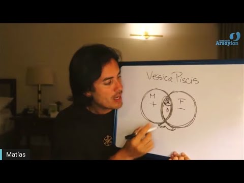 Day 324 Heart MITOSIS - Talk only - Matias De Stefano - English Edit