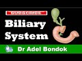 Anatomy of the Extrahepatic Biliary System, Dr Adel Bondok