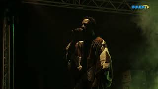 𝐑𝐞𝐯𝐢𝐯𝐞𝐳 𝐥𝐞 𝐒𝐡𝐨𝐰 𝐝𝐞 𝐒𝐦𝐚𝐫𝐭𝐲 𝐚𝐮 𝐅𝐞𝐬𝐭𝐢𝐯𝐚𝐥 𝐖𝐚𝐚𝐛𝐨