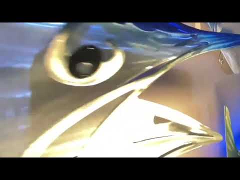 EXO-STENCIL Series metal fish wall art sailfish marlin yellowfin tuna