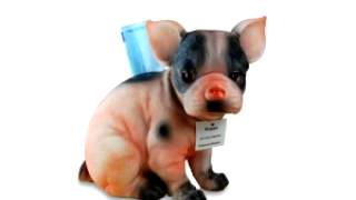 Projekt X - Auf den Hund gekommen