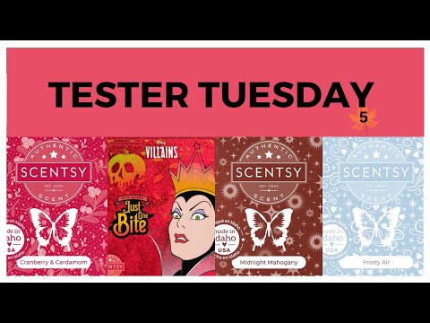 Tester Tuesday NEW FW Cranberry & Cardamom, Just One Bite, Midnight Mahogany and Frosty Air Scentsy