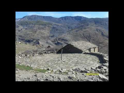 TV REAL Myftar Nako & Defrim Koleci  Panarit   Trendafili