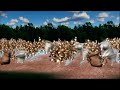 Wind Monkeys