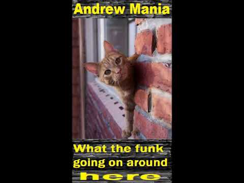 Andrew Mania - What the funk going on around here