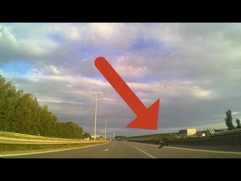 Duivencrash op R2 in Antwerpen!!! 🐦💥🚗