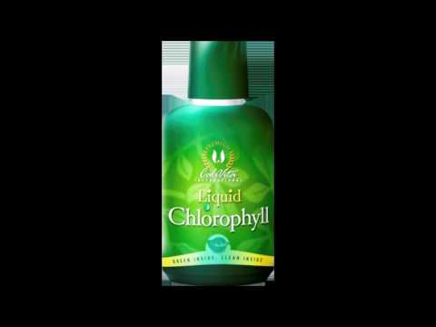 download lagu mp3 mp4 Liquid Chlorophyll Calivita, download lagu Liquid Chlorophyll Calivita gratis, unduh video klip Liquid Chlorophyll Calivita