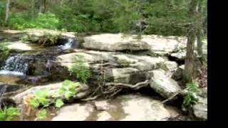 preview picture of video 'Waterfalls,Madison County, AR'