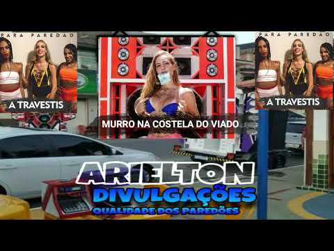 A TRAVESTIS CD VERÃO 2020 MURRO NA COSTELA DO VIADO