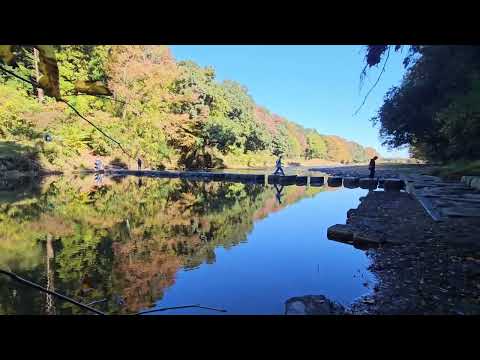 嵐山渓谷飛び石