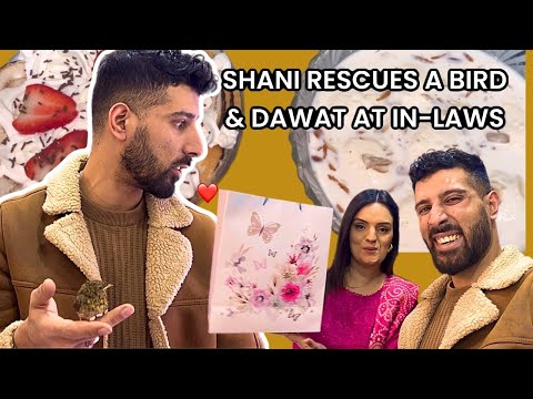 SHANI RESCUES A BIRD | DAWAT AT IN-LAWS | GIFTS FOR EVERYONE ❤️
