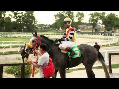 211210 C07 - PRINGLES - HIPODROMO LAS PIEDRAS