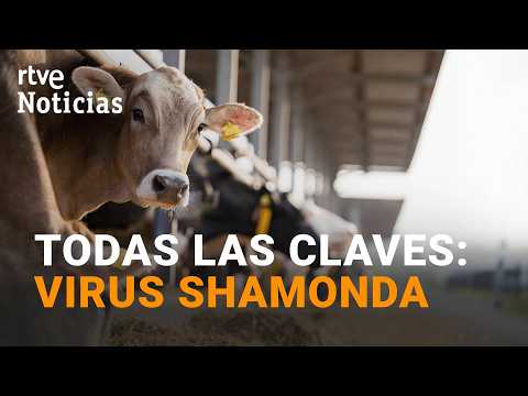 España, en alerta tras la muerte en Francia de una persona infectada por el virus shamonda | RTVE