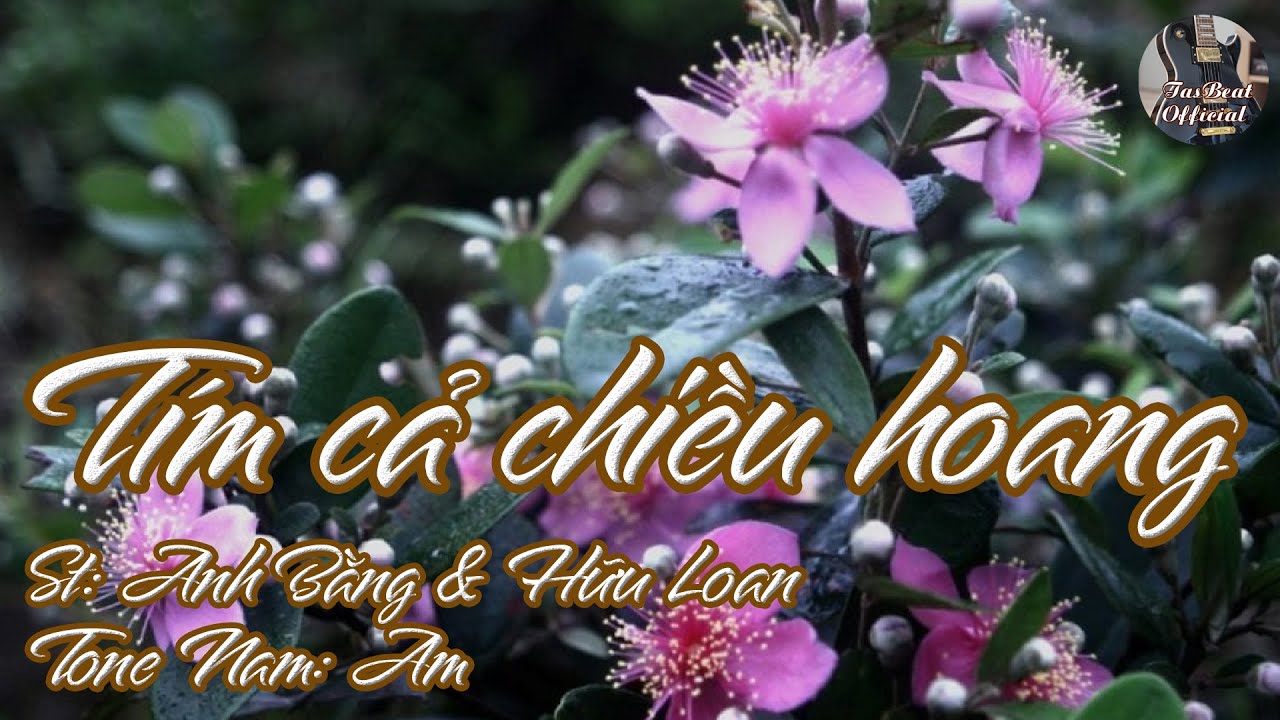 Tím cả chiều hoang