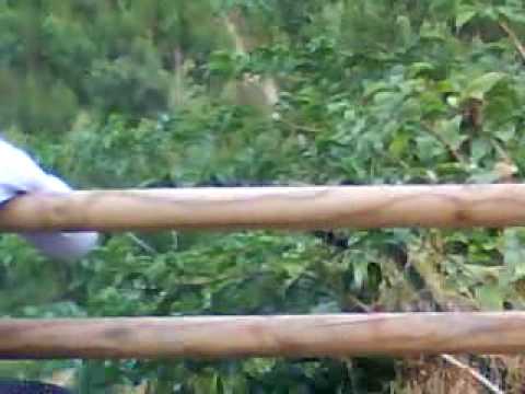 559° Corsa degli Zingari @ Pacentro (AQ) - [6.09.2009]