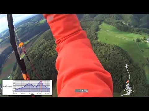 4/5 Zapfenpflücker am Finkenberg