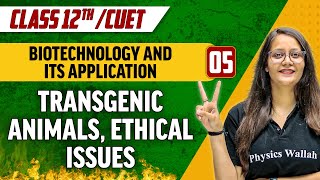 Biotechnology and its Application 05 |Transgenic Animals , Ethical Issues |Class 12th/CUET