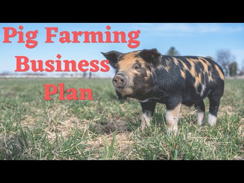 , title : 'Pig Farming Business Plan'