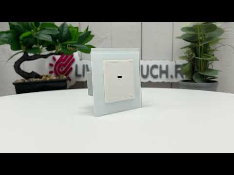 Розетка USB type C с блоком питания 45W Livolo, цвет белый (механизм) VL-FCUC-2WP