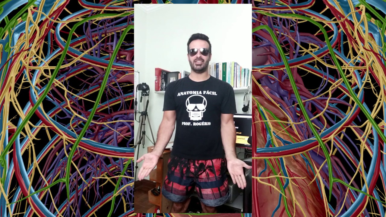 Minuto da Anatomia #18: Posição Anatômica - Introdução à Anatomia Humana