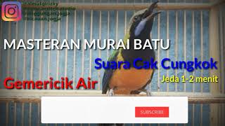 Download lagu Masteran Murai Batu Suara Cucak Cungkok dan Gemericik Air Tenang mp3 Download lagu Masteran Murai Batu Suara Cucak Cungkok dan Gemericik Air Tenang mp3