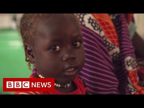 ダルフールの平和のための闘いが続く - BBC ニュース (The ongoing struggle for peace in Darfur - BBC News)