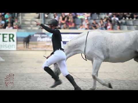 LIBERTY CUP CHAMPION 2023 | Mustang Makeover