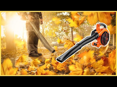 Test FUXTEC FX-LBS126 : souffleur thermique qui vaut le coup ?