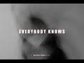 Sigrid - Everybody Knows (Mahmut Orhan Remix) | UNRELEASED