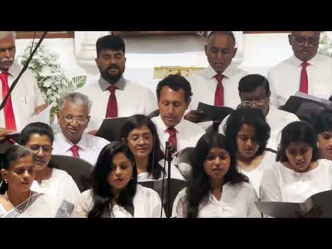 The Appeal of The Crucified