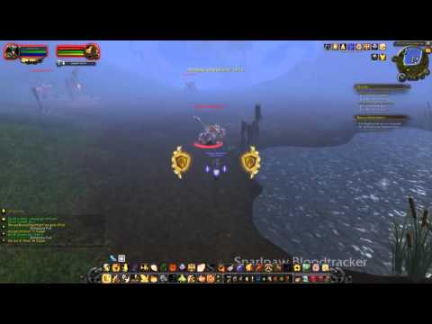 Bonus Objective: Snarlpaw Ledge (WoW, human, Paladin)