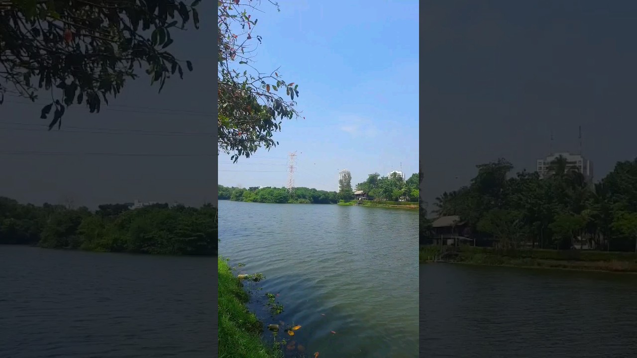 YouTube Short thumbnail