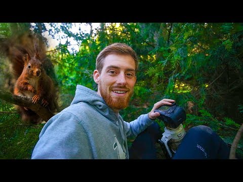 Eichhörnchen, Platzregen und eine kaputte Kamera!