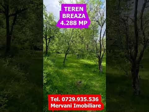 Teren de vanzare in Breaza, Nistoresti — Video