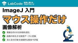 【画像解析入門 #3】ImageJ/Fiji入門!マウス操作だけでできる画像解析の基本