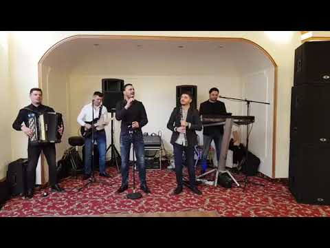 Stelian Arau - Ela Ela!