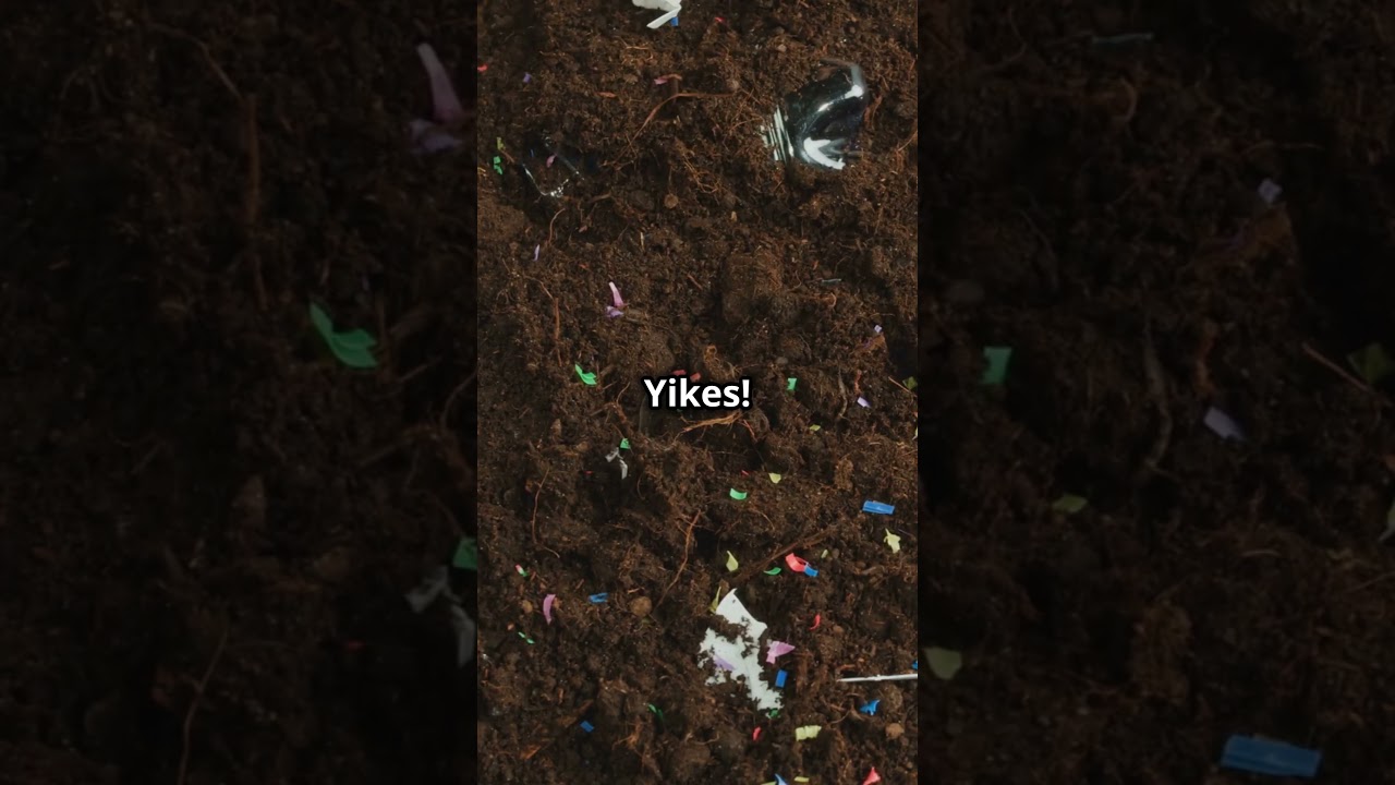 You're Eating a Credit Card's Worth of Plastics!