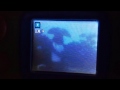 Spongebob The Sponge Who Can Fly Paichy Gets A Video Tape