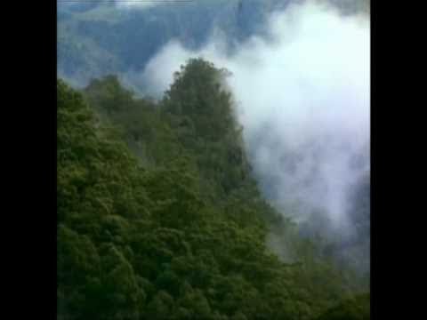 Eldar Mansurov — Elegy-Requiem | İnstrumental