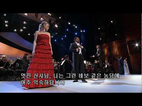 리골레토-언젠가는 너를 만난 것 같다(Un di se ben rammentomi, Rigoletto)