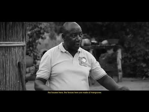 ong 4k ( by GBROWN )