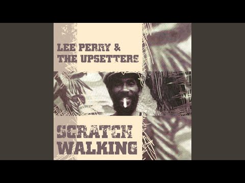 Scratch The Dub Organiser