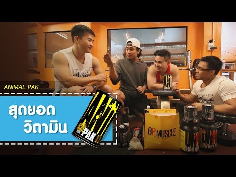 ทิงเจอร์ในความผิดของความแข็งแรง ระยะเล็ก TH