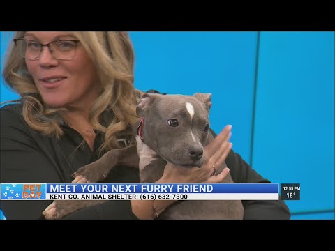 KCAS Pets of the Week: Salma and Spinnaker - YouTube