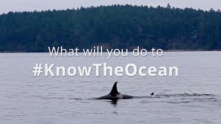 Our Oceans, Our Future: World Oceans Day at 25